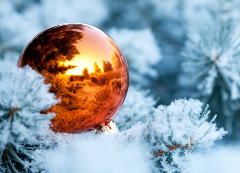 frost, snow, close-up, christmas Decoration, blue, 5K, december, copy Space, plant, nature, sky, celebration, branch, forest, new year, white color, reflection