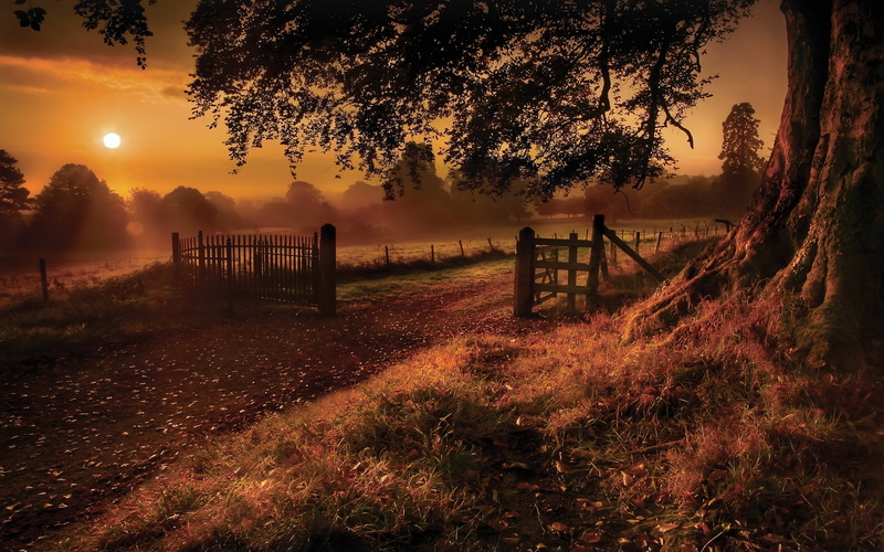 haze, mist, sun, painting, sunlight, morning, trees, sunset, fence, color, sky, path, 1080P, nature, clouds, scenic, sunrise, roads, silhouette, hour