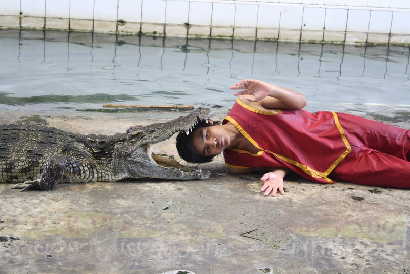 day, jaws, relaxation, alligator, leisure activity, animal, leather, casual clothing, lifestyles, reptile, farm, wild, crocodile, lying down, fakir, asia