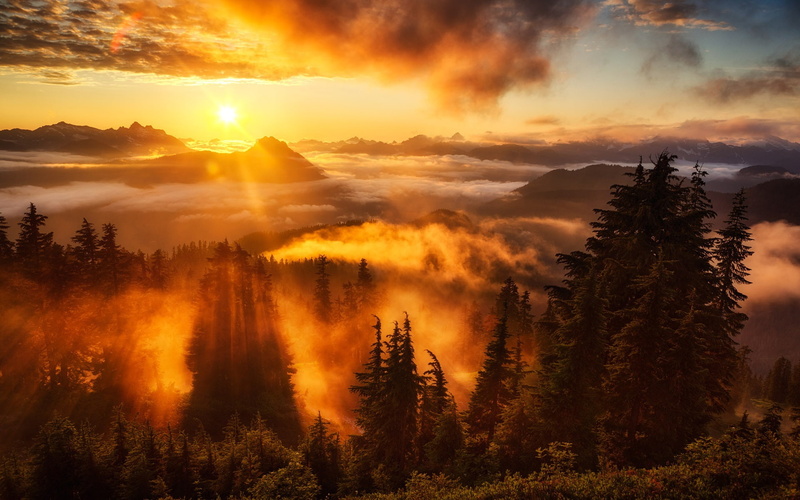 Sky, Trees, Clouds, Mountains, Fog, Rays, 1080P, Sunrise