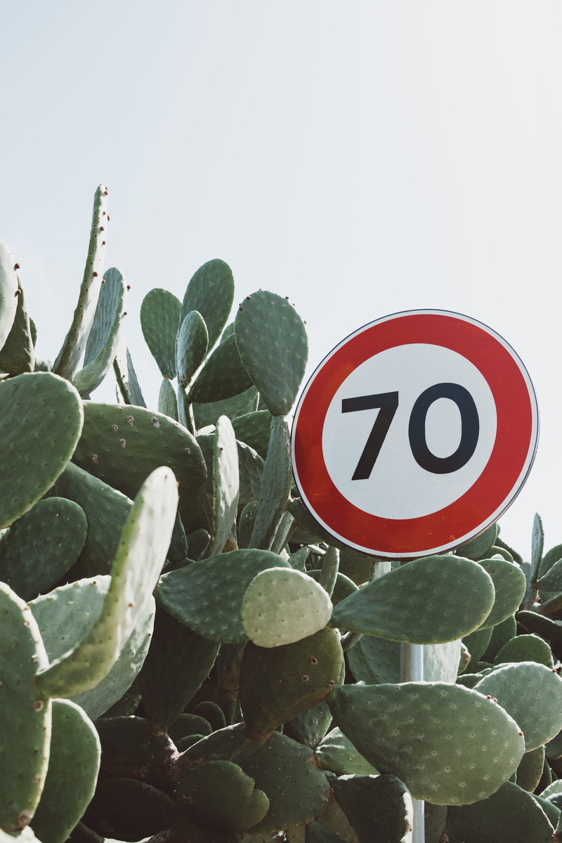 outdoors, communication, warning sign, ear, warning, seventy, cactus, day, 5K, sky, information, bunny, leaf, cactu, sign, no people, road sign, traffic sign