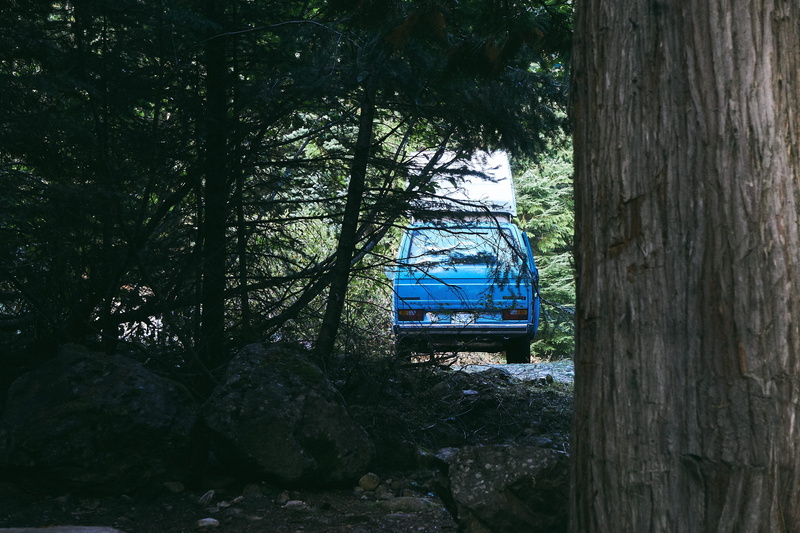 outdoors, camping, green color, transportation, westfalia, canada, volkswagen, beauty in nature, tranquil scene, non-urban scene, forest, mode of transportation