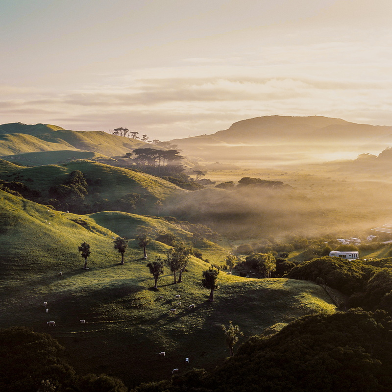 cloud, dreamy, wharariki beac, mountain, cloud - sky, scenics - nature, idyllic, foggy, sheep, nature, landscape, hillside, camper, mountain range, sky