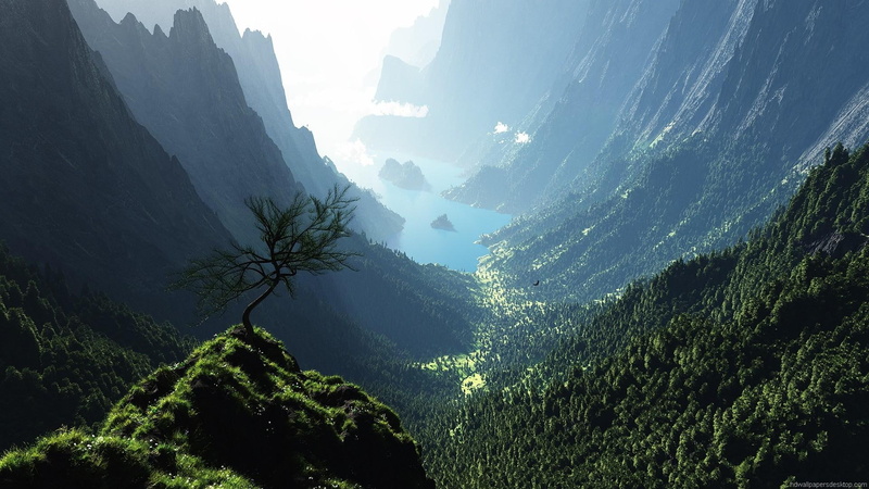 lonely tree, nature, water, 1080P, mountains
