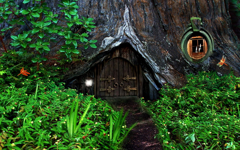 growth, built structure, architecture, nature, tree trunk, 2K, entrance, wood - material, plant, trunk, plant part, hobbit, fantasy, forest, building