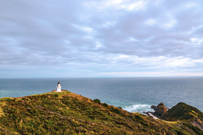 nature, coast, architecture, northisland, standing, tower, 4K, lighthouse, coastline, beach, promontory, ocean, scenics - nature, cliff, biblelens, horizon over water