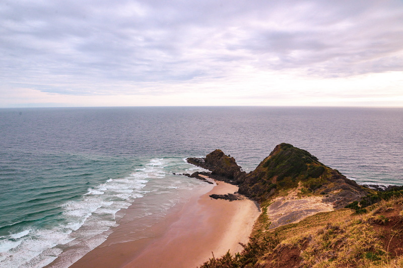 cloudy, beauty in nature, wave, rock, northisland, aquatic sport, scenics - nature, promontory, sea, sky, peninsula, capereinga, nz, cloud - sky, beach
