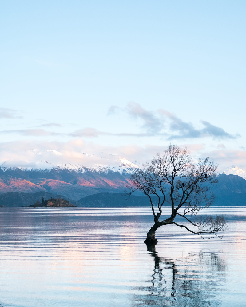 waterfront, golden hour, flooding, mountain, tranquility, sky, snowed, plant, bare, body, aotearoa, brown, lumix, outdoors, nature, ripple, lake, winter