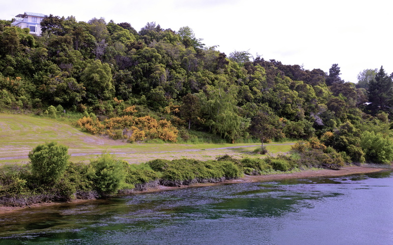 nature, zealand, river, trees, new, waikato, rivers, 2K