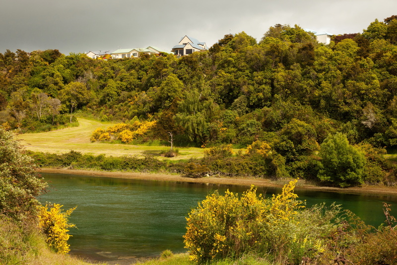 shore, home, 4K, New Zealand, trees, Waikato, hill, greens, the bushes, river