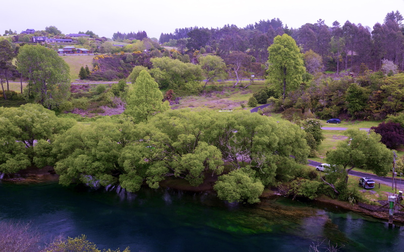 zealand, trees, new, river, rivers, 2K, nature, waikato