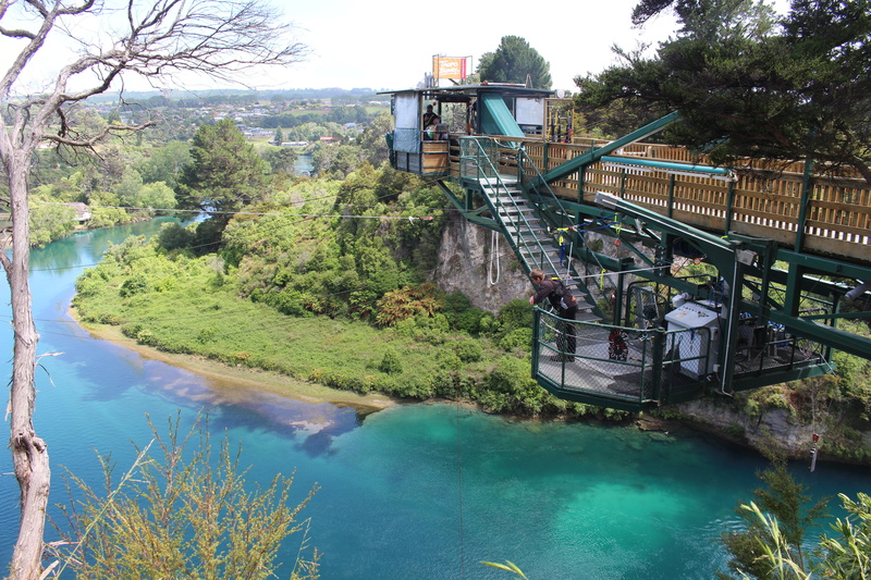 taupo, tranquil scene, day, forest, turquoise, transportation, bridge, tree, travel, 5K, north island, go away, river, reflection, holiday, footbridge