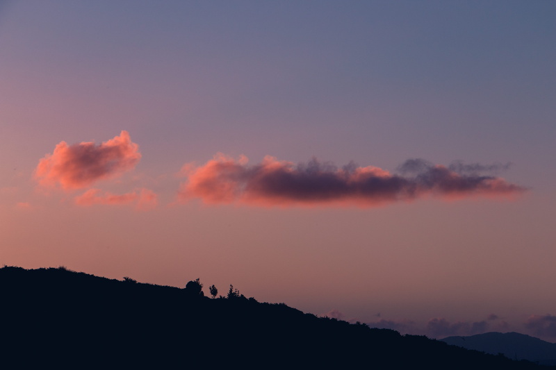 blue, cloud, copy space, sky, non-urban scene, 5K, new zealand, weather, environment, pink, animal, scenics - nature, red sky, bird, tranquility, te arai point - aotearoa surf
