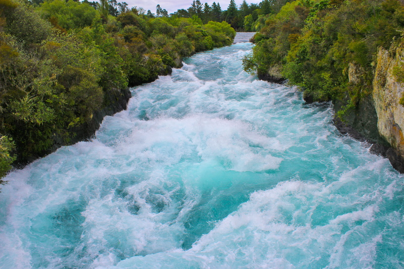 flowing water, plants, aquatic sport, 5K, beauty in nature, tree, plant, lake taupo, power in nature, green, sport, new zealand, north island, river, scenics - nature