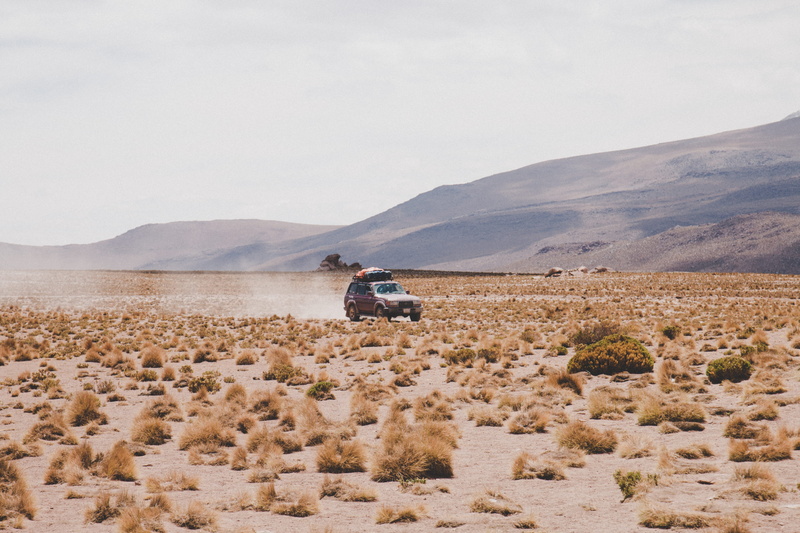 mature men, scenics - nature, transportation, land, outdoor, bolivium, roadtrip, riding, outdoors, drive, car, field, south america, explore, day, ride