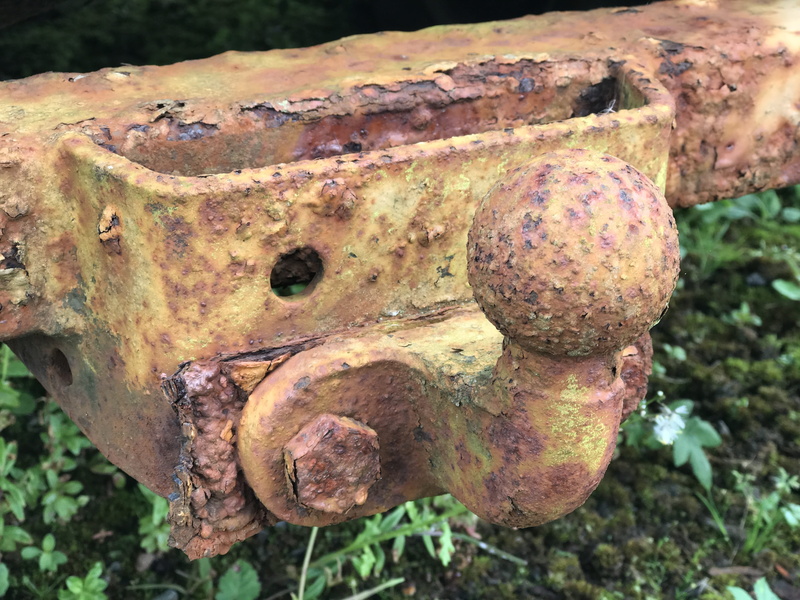 close-up, toadstool, outdoors, metal, nature, rust, day, metal scrap, rusty, mitsubishi pajero, junkyard, car wreck, food and drink, old, old car, growth