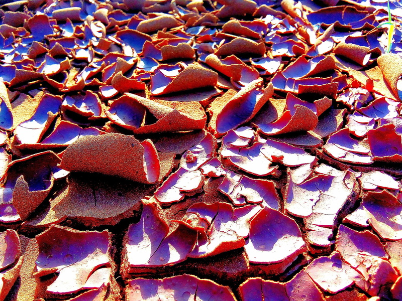 1080P, drought, temptation, sediment, erosion, abundance, backgrounds, soil, food and drink, textured, still life, dry, red, mud cracks, cracks, close-up