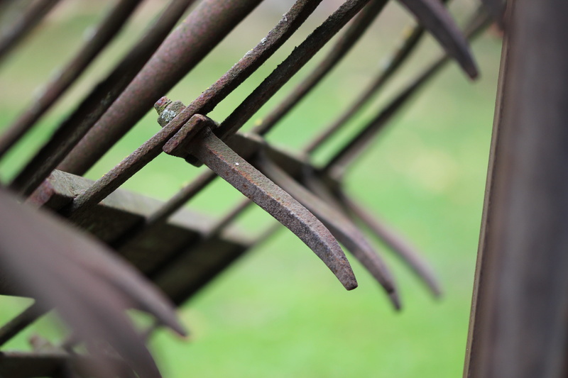 plant, green color, agricultural machine, agriculture, nature, architecture, harrow, machine, protection, 5K, safety, metal, barrier, close-up, day, focus on foreground