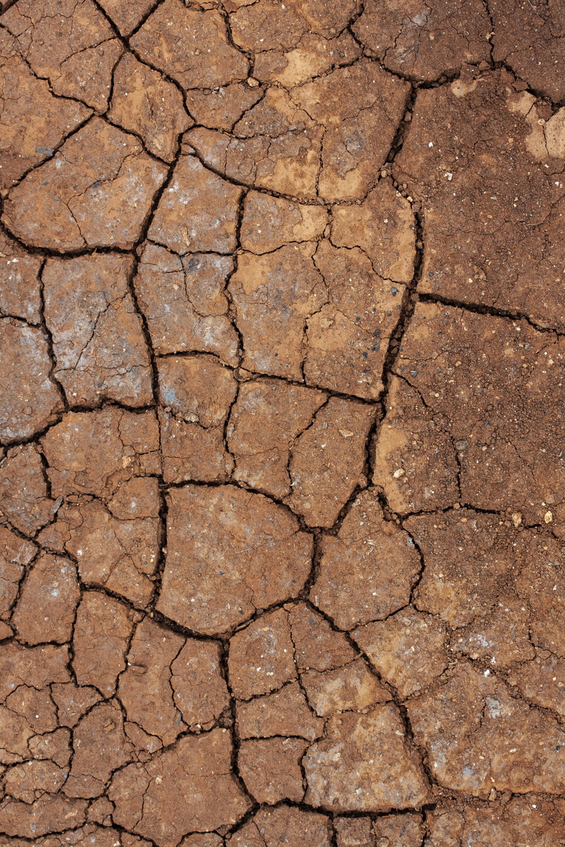 full frame, surface, day, environmental issues, brown, mud, arid climate, broken, dry, high angle view, drought, natural pattern, arid, danger, rough, water