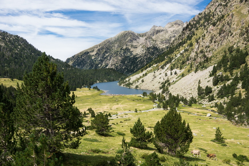 nature, outdoors, mountain, landscape, mountain range, tree, scenics - nature, green color, pyrenees, day, sky, grass, lake, no people, lleida, beauty in nature
