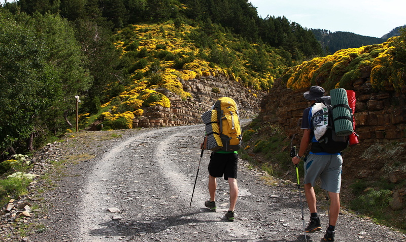 nature, men, outdoors, torla, footpath, mother-inlaws pillow plant in bloom, mountains, hike, yellow, yellow flowers, leisure activity, full length, people