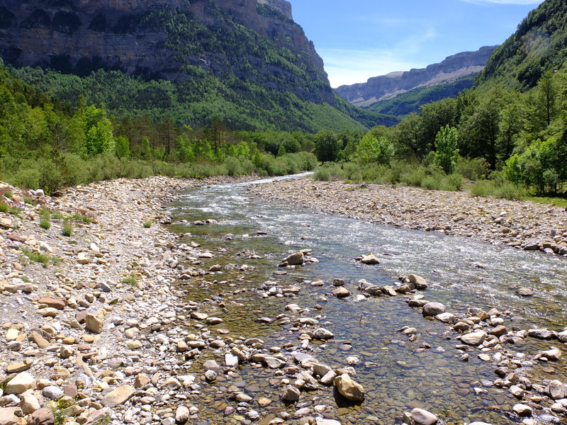 tree, scenics - nature, aragonese pyrenees, outdoors, tranquil scene, day, plant, River, rock, Water, landscape, pebble, mountain, solid, environment, flowing water