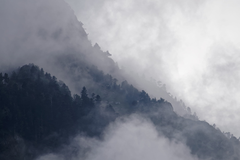 mountain, land, darkness, landscape, forest, 5K, sky, environment, pine woodland, trees, outdoors, plant, fog, tranquility, smoke, surrounded, pyrenee