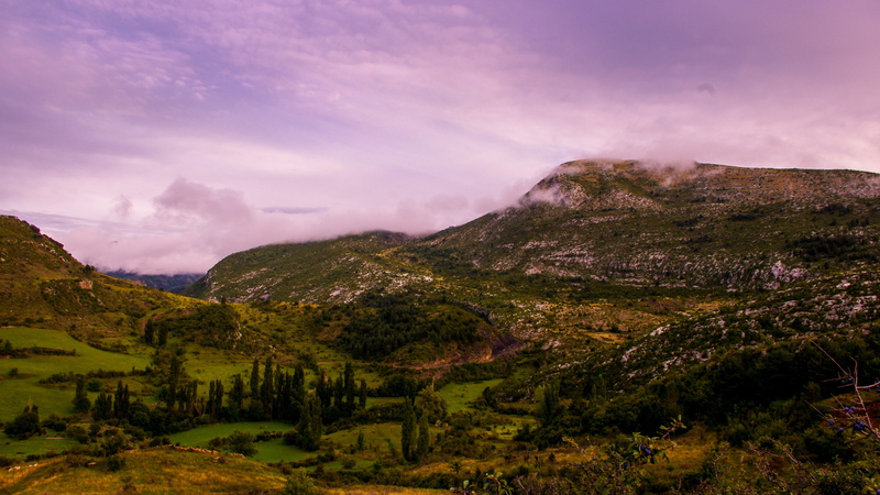 mountain landscape, travel destinations, outdoors, 4K, plant, scenics - nature, tree, dramatic sky, no people, lleida, cloud - sky, valley, mountain, environment