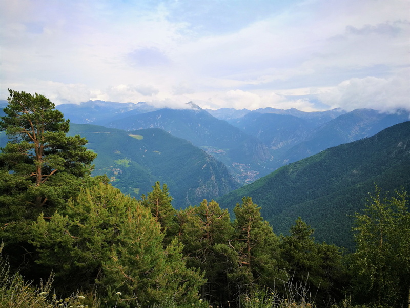 non-urban scene, sky, plant, tree, tranquil scene, scenics - nature, green color, coniferous tree, no people, 4K, summer, nature, environment, pyrenees