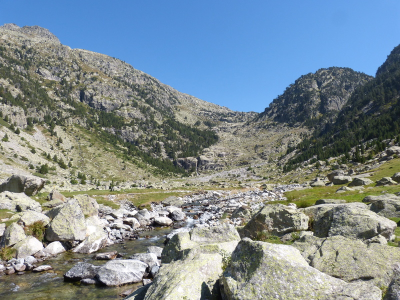 environment, landscape, tranquil scene, tree, sky, day, tranquility, outdoors, pyrenees, land, pine tree, solid, water, coniferous tree, streams, scenics - nature