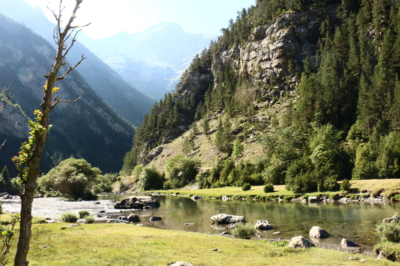 tranquil scene, growth, green color, mountain range, outdoors, huesca, architecture, lake, water, plant, beauty, land, scenics - nature, built structure