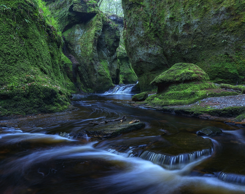 long exposure, stream - flowing water, glen, rainforest, rock, Scene, land, visit, Nature, kingdom, scenics - nature, Beautiful, Scotland, Outdoor, green