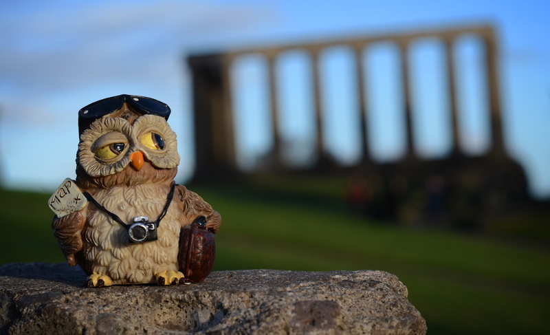 Edinburgh, stone, silhouette, Scotland, toy, Calton Hill, 4K, owl, camera