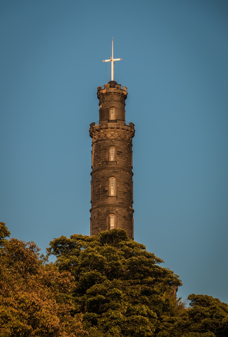 history, built structure, clear sky, spire, low angle view, blue, plant, building, tree, the nelson monument, tall - high, sky, 5K, city, tourism, calton hill