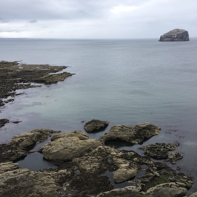 castle, nature, rock, no people, edinburgh, outdoors, beauty in nature, rock - object, solid, land, tranquil scene, scotland, sea, horizon over water, north berwick
