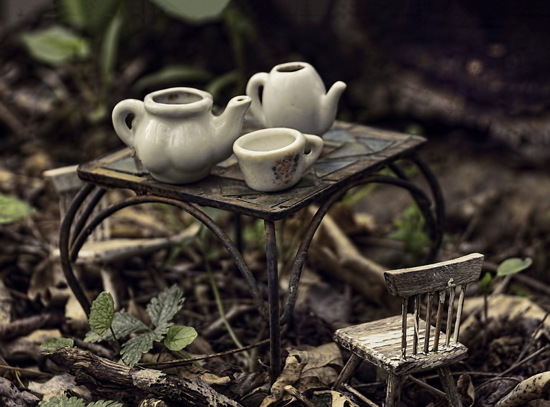 outdoors, ceramics, tea party, leaf, nature, wood - material, tiny, plant, teapot, tea set, 5K, basket, cup, glen rock, field, focus on foreground, food and drink