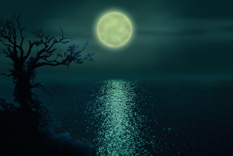 night, the ripples on the water, The moon, 5K, lonely tree, river