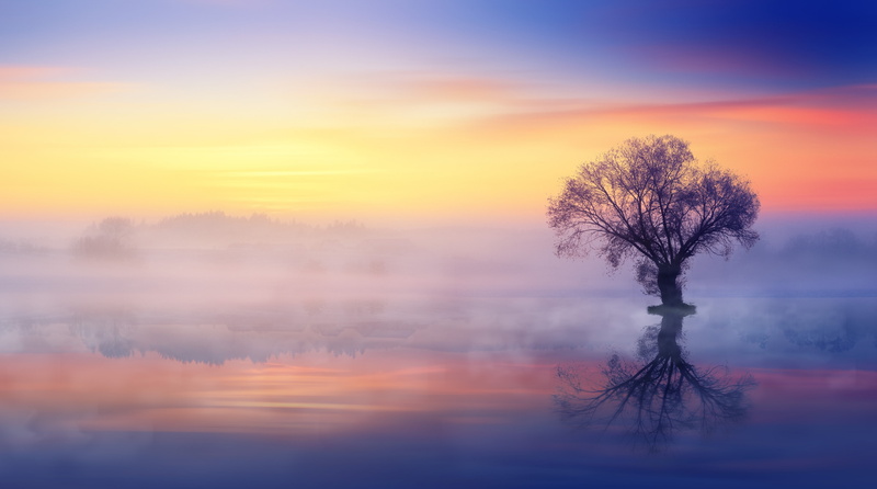 Alone, cloud - sky, onetree, Landscape, 5K, Lakes, fog, body, hazy, non-urban scene, no people, bare tree, Lake, silhouette, single, singletree, Steam
