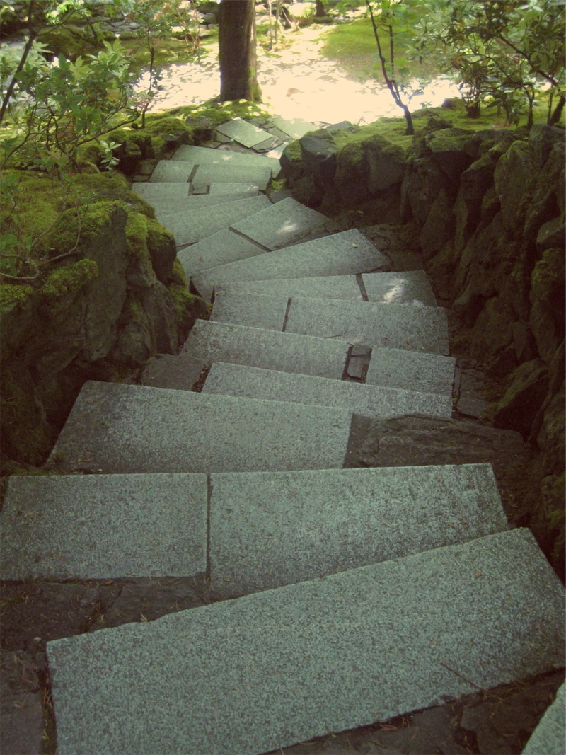 plant, direction, steps, downwards, architecture, solid, down, day, tranquility, stone, tree, path, the way forward, rock, stones, staircase, outdoors