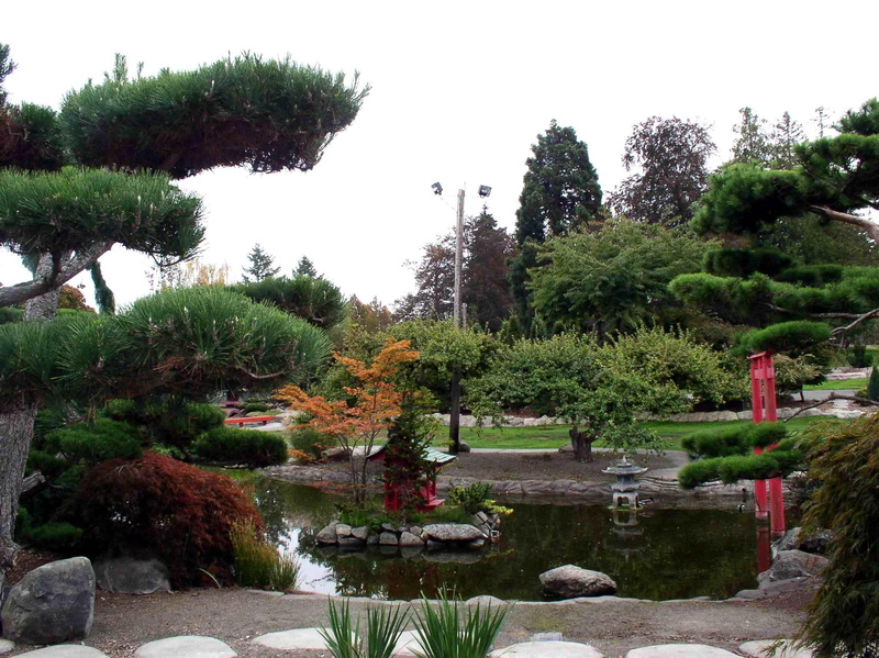 serene, japanese garden, 1080P, pond, stepping stones, garden, statues, 3d and abstract, flowering tree