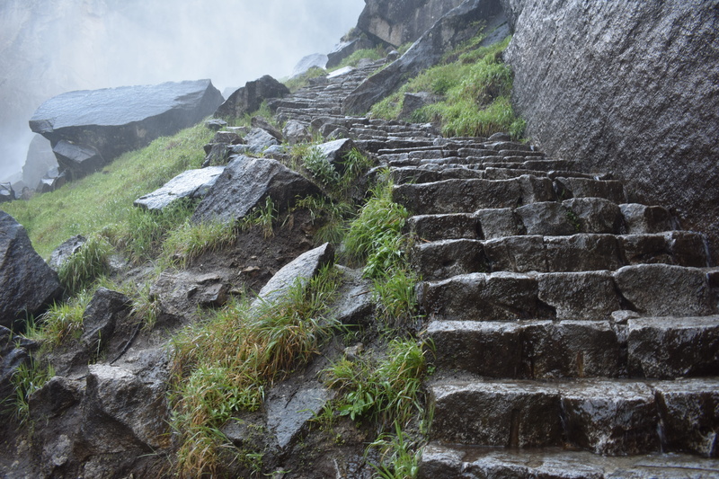 moss, mountain, plant, staircase, forest, nature, mist, united states, hiking, hike, steps, no people, stone wall, trees, trail, low angle view, wall, stones