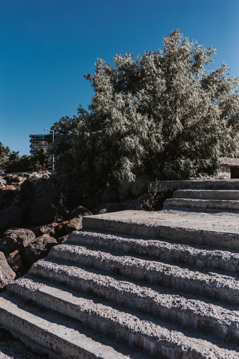 staircase, close, 5K, built structure, Nessebar, clear sky, growth, sky, nature, architecture, Bulgaria, Black Sea, Close up, outdoors, balkan, tranquil scene