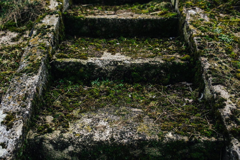 no People, sea, growth, old, built structure, walk, flowing, by the sea, solid, high angle view, architecture, rock, lake, steps, moss, steps and staircases
