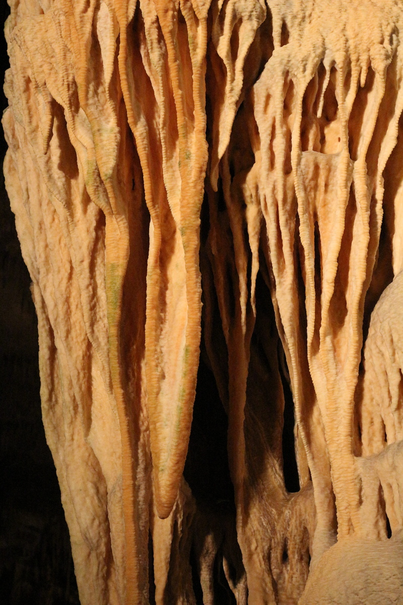 mallorca, full frame, mammal, food and drink, one animal, studio shot, animal body part, dragons lair, mystical, indoors, natural pattern, day, stalactite cave