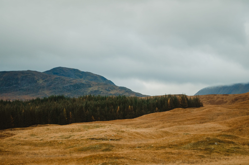 rolling landscape, 4K, united kingdom, scenics - nature, loch lomond and the trossachs national park, hills, idyllic, autumn, sky, plant, scotland, day