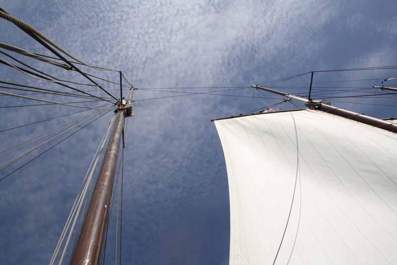 pole, mast, nautical vessel, sailboat, directly below, low angle view, rope, sailing ship, ijselmeer, environment, rigging, fuel and power generation, 4K