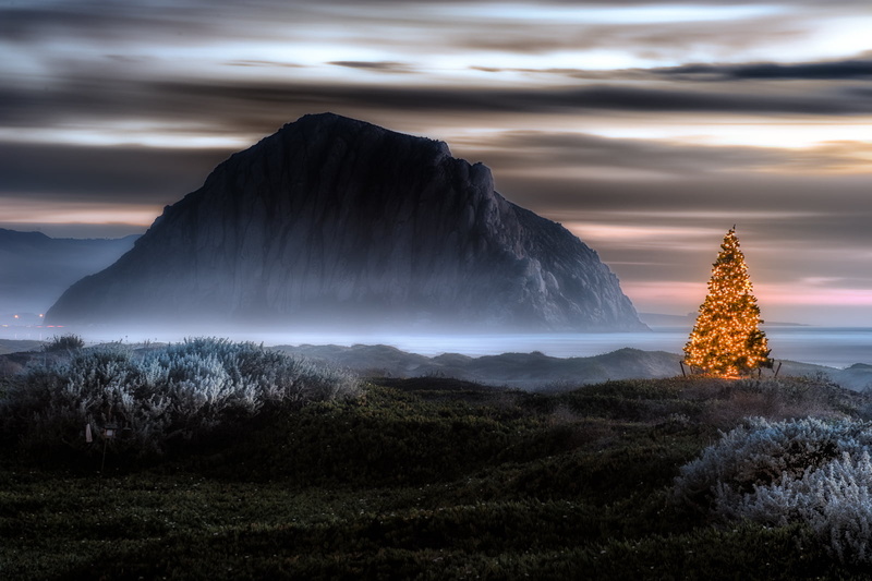 lighted, Morro Bay, beach, christmas, brown, 720P, mountain, clouds, Merry Christmas, strand, tree, Redux, nature, black island, near, dawn, sand  dunes