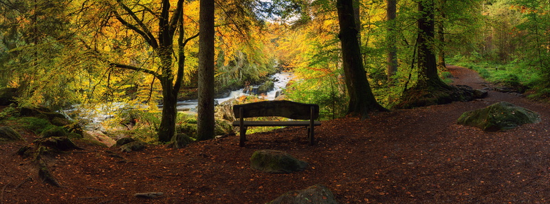 BlackLinn, Waterfall, plant, environment, Scene, forest, tree, visit, Nature, Fall, land, stream - flowing water, tranquility, Landscape, Scenery, Outdoor