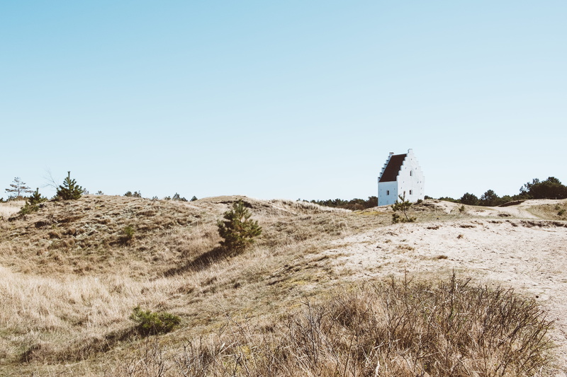 skagen, land, sky, 4K, nature, scenics - nature, blue, den tilsandede kirke, plant, denmark, wasteland, outdoors, beauty in nature, sunlight, clear sky