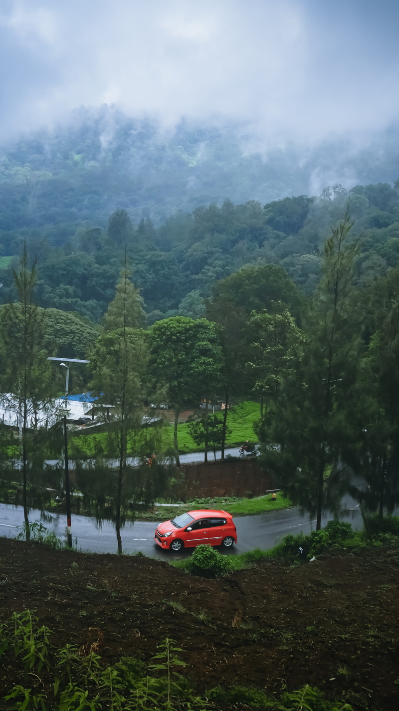 wheel, water, vehicle, urban, automobile, mode of transportation, nautical vessel, non-urban scene, day, landscape, nature, cloud - sky, car, road, plant